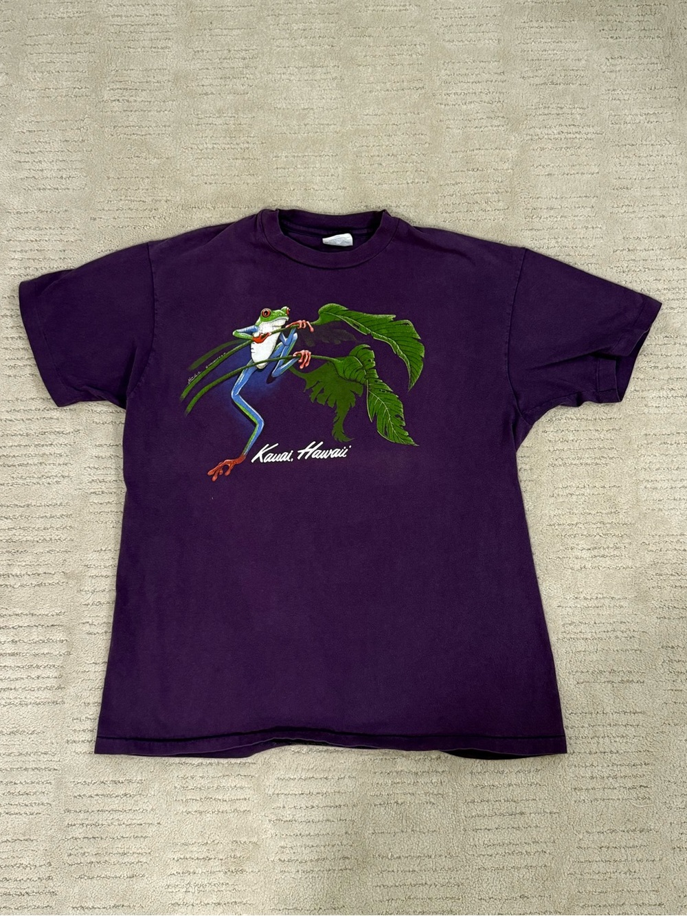 Vintage Tree Frog Hanes T-Shirt Kauai Hawaiian Graphic single stitch 1991